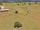 1188 Acres in Hay and Cattle