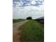 235.4 Acres Tuscumbia Al. Cattle Farm Photo 13