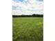 235.4 Acres Tuscumbia Al. Cattle Farm Photo 15