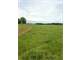 235.4 Acres Tuscumbia Al. Cattle Farm Photo 5