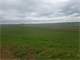 131.7 Acres with 115 Acres ML Certified Organic Tillable Ground