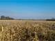 Rock County WI Organic Farmland Auction Excellent Return Potential Photo 3