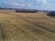 Rock County WI Organic Farmland Auction Excellent Return Potential Photo 5