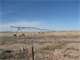 152 Acre Irrigated Farm Under 118 Acre Pivot Sprinkler