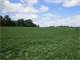 164 Acres Dane County Farmland