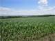 164 Acres Dane County Farmland Photo 2