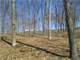178 Acres Woods Pasture and Tillable Ground Photo 11