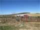 178 Acres Woods Pasture and Tillable Ground Photo 14