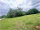 Dream the Perfect Farm Life with This Amazing 38-Acre Property Photo 15
