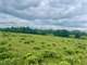 Dream the Perfect Farm Life with This Amazing 38-Acre Property Photo 2