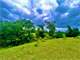 Dream the Perfect Farm Life with This Amazing 38-Acre Property Photo 5