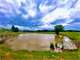Dream the Perfect Farm Life with This Amazing 38-Acre Property Photo 6