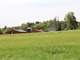 Farm for Sale in Michigan 240-Acres Organic Farm Hunting Photo 13