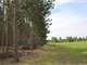 Farm for Sale in Michigan 240-Acres Organic Farm Hunting Photo 17