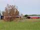 Farm for Sale in Michigan 240-Acres Organic Farm Hunting Photo 18