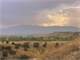 35.74 Acres CO Ranch Land Frontage Road Pueblo County Colarado Photo 4