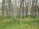 Lincoln County Missouri Land Iauction Photo 6