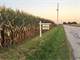 32.75 Flat Tillable Acres in Hendricks County Indiana Photo 2