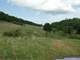 139.96 Acre Farm with Barn Fenced and Cross Fenced with Pond Photo 5