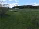 Organic Acreage Suitable for Vegetable Market Farm with Two Acre Pond Photo 4
