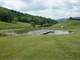 Beautiful 47.784 Acre Mini Farm Photo 5