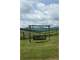 Beautiful 47.784 Acre Mini Farm Photo 6