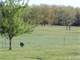 Beautiful Hobby Farm Very Sucluded Photo 11