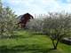 Hobby Farm with Home and Acres Rumely MI Photo 5