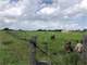 28 Acres Restrictions Mildred Texas Hwy 287 Frontage Photo 10