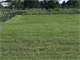 28 Acres Restrictions Mildred Texas Hwy 287 Frontage Photo 17