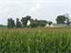 5.4 Acres South Brooklyn Wisconsin Green County Photo 3