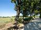 Wonderful 8 Acres ON Corner Lot with Barn Photo 3