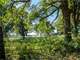 Wonderful 8 Acres ON Corner Lot with Barn Photo 9