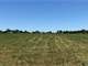14.5 Ag-Exempt Acres with Current Hay Production in Hopkins County Photo 2