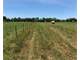 14.5 Ag-Exempt Acres with Current Hay Production in Hopkins County Photo 4