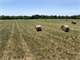 14.5 Ag-Exempt Acres with Current Hay Production in Hopkins County Photo 5