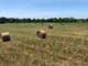 14.5 Ag-Exempt Acres with Current Hay Production in Hopkins County Photo 6