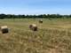 14.5 Ag-Exempt Acres with Current Hay Production in Hopkins County Photo 6