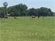 13.63 Acre Pastureland - Sumter County Florida Photo 6