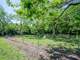 Acres Fenced Barn Chutes Water Well Septic Pond Photo 5