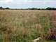 208 Acres Pasture and Cropland Bourbon County Fort Scott Area Kansas Photo 10