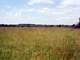 208 Acres Pasture and Cropland Bourbon County Fort Scott Area Kansas Photo 13