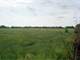 208 Acres Pasture and Cropland Bourbon County Fort Scott Area Kansas Photo 7