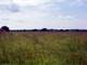 208 Acres Pasture and Cropland Bourbon County Fort Scott Area Kansas Photo 8