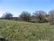 40Acre Dairy Farm with Pasture Some Tillable and Running Creek Photo 5