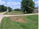40Acre Dairy Farm with Pasture Some Tillable and Running Creek Photo 6