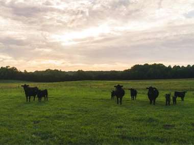 Listing: 9411967, Appomattox, VA