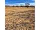 102 Ag-Exempt Rolling Acres in Southern Hopkins County Photo 3
