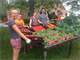 Acre Usda Certified Organic Farm Home Business and Equipment for Sale