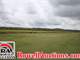 Auction - 467.70± Acre Sod Farm ON the Black Warrior River